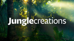 Jungle Creations Logo